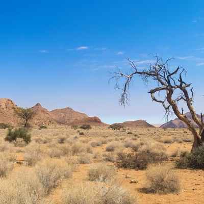 Internship opportunity for 1 or 2 students: Communication and fundraising to support independence in tourism for the Ju/’hoansi in Tsumkwe, Namibia